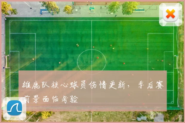 雄鹿队核心球员伤情更新，季后赛前景面临考验