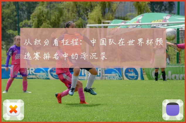 从积分看征程：中国队在世界杯预选赛排名中的浮沉录