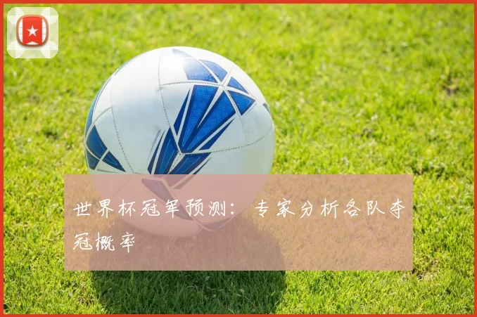 世界杯冠军预测:专家分析各队夺冠概率