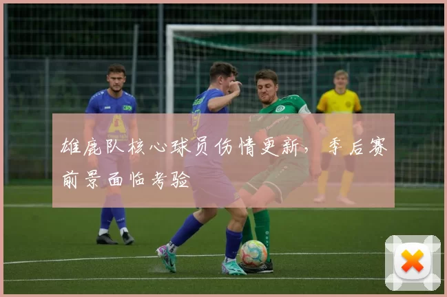 雄鹿队核心球员伤情更新，季后赛前景面临考验