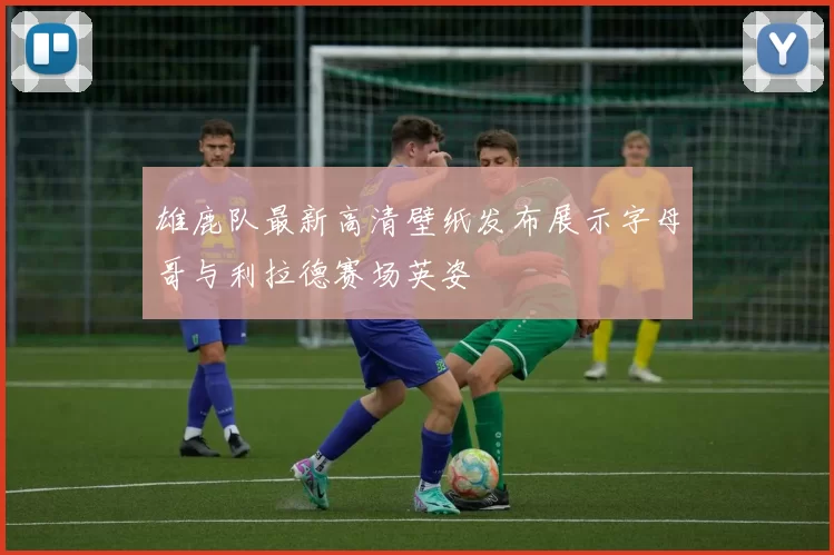 雄鹿队最新高清壁纸发布展示字母哥与利拉德赛场英姿