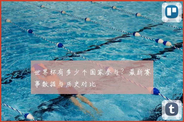 世界杯有多少个国家参与？最新赛事数据与历史对比