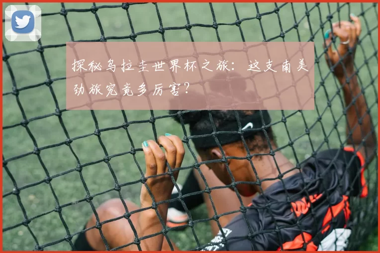 探秘乌拉圭世界杯之旅：这支南美劲旅究竟多厉害？