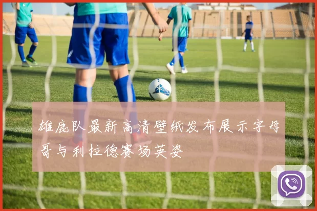 雄鹿队最新高清壁纸发布展示字母哥与利拉德赛场英姿