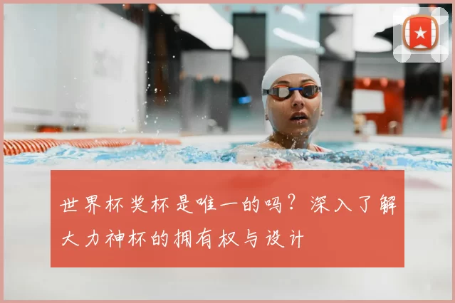 世界杯奖杯是唯一的吗?深入了解大力神杯的拥有权与设计