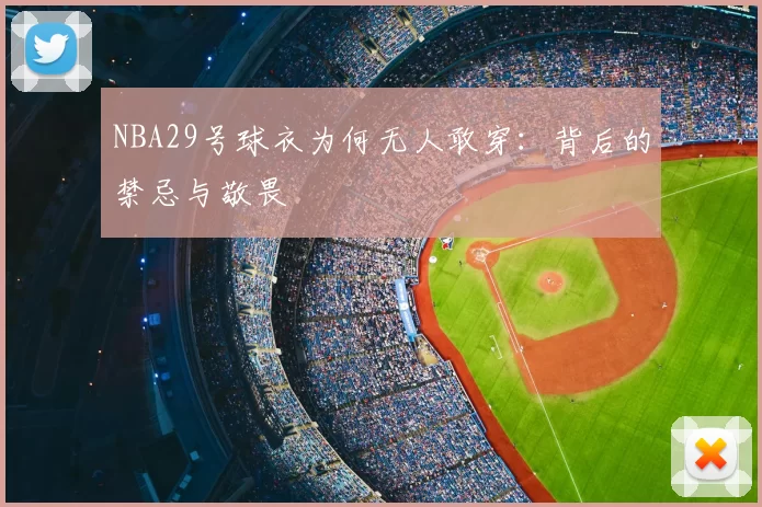 NBA29号球衣为何无人敢穿：背后的禁忌与敬畏