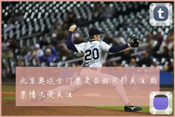 北京奥运会门票是否好买引关注 购票情况受关注