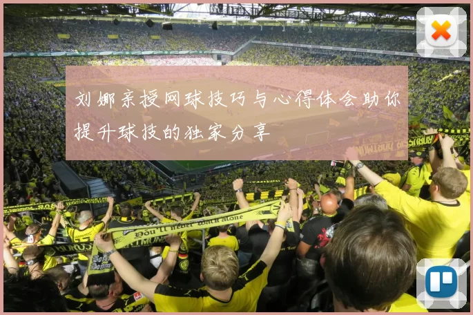 刘娜亲授网球技巧与心得体会助你提升球技的独家分享