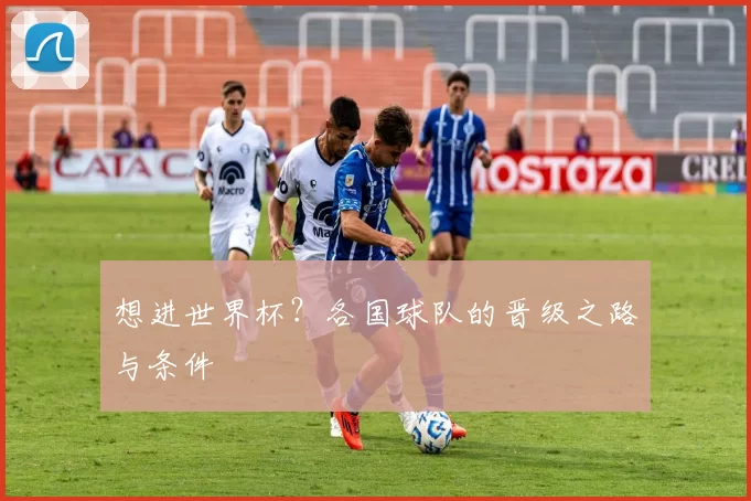 想进世界杯?各国球队的晋级之路与条件