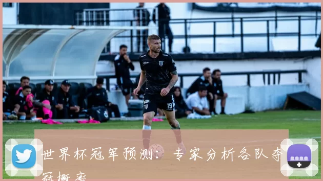 世界杯冠军预测：专家分析各队夺冠概率